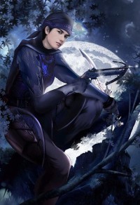 將軍之妻不可欺